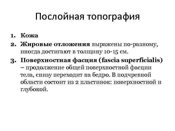 Послойная топография 1. Кожа 2. Жировые отложения выражены по-разному, иногда достигают в толщину 10