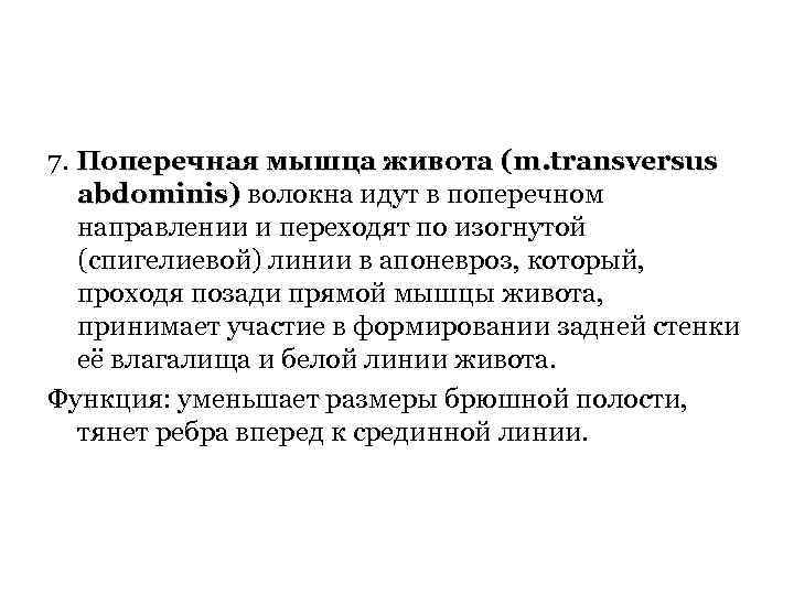 7. Поперечная мышца живота (m. transversus abdominis) волокна идут в поперечном направлении и переходят