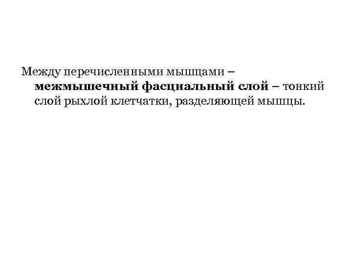 Между перечисленными мышцами – межмышечный фасциальный слой – тонкий слой рыхлой клетчатки, разделяющей мышцы.