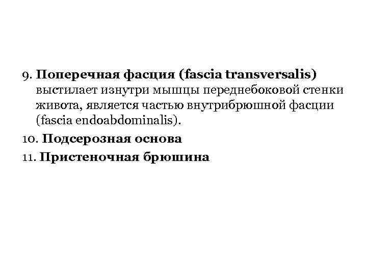 9. Поперечная фасция (fascia transversalis) выстилает изнутри мышцы переднебоковой стенки живота, является частью внутрибрюшной