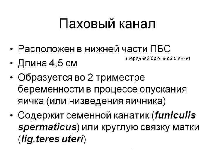 (передней брюшной стенки) 