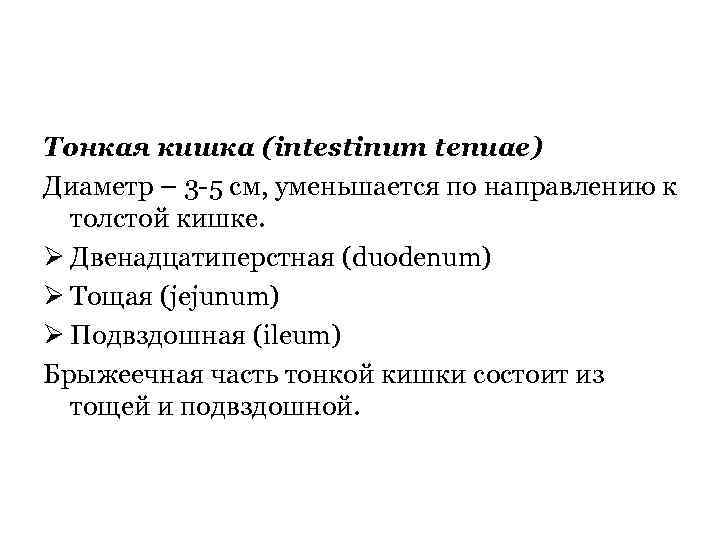 Тонкая кишка (intestinum tenuae) Диаметр – 3 -5 см, уменьшается по направлению к толстой