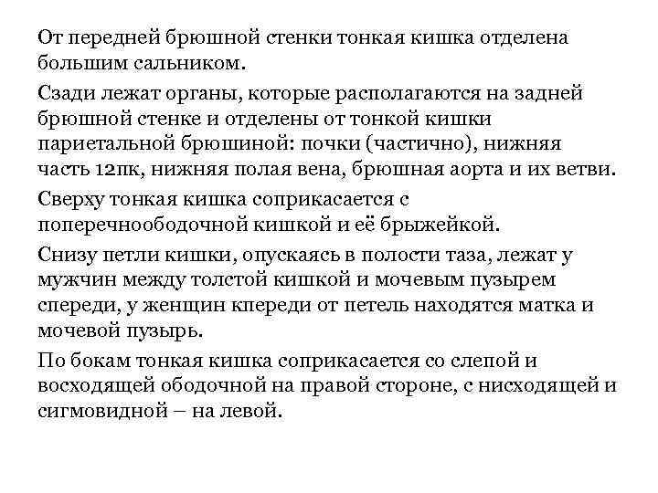 От передней брюшной стенки тонкая кишка отделена большим сальником. Сзади лежат органы, которые располагаются