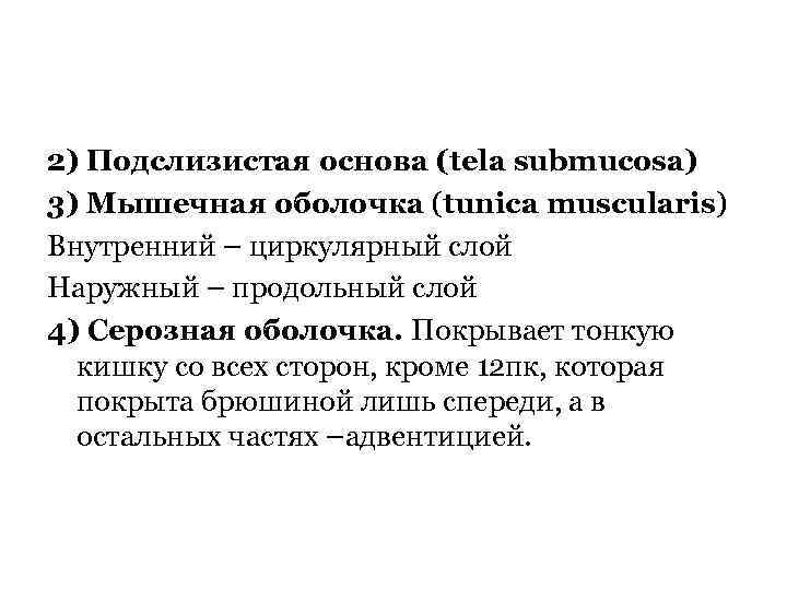 2) Подслизистая основа (tela submucosa) 3) Мышечная оболочка (tunica muscularis) Внутренний – циркулярный слой