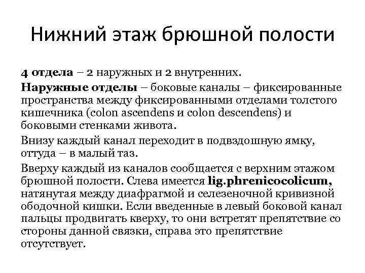 Нижний отдел. Боковые каналы Нижнего этажа брюшной полости. Границы Нижнего этажа брюшной полости. Углубления Нижнего этажа брюшной полости. Нижний этаж брюшинной полости.