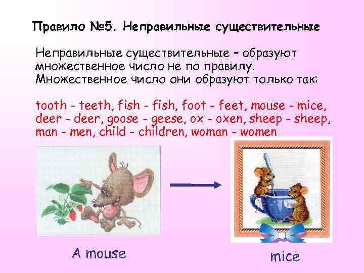  Правило № 5. Неправильные существительные – образуют множественное число не по правилу. Множественное