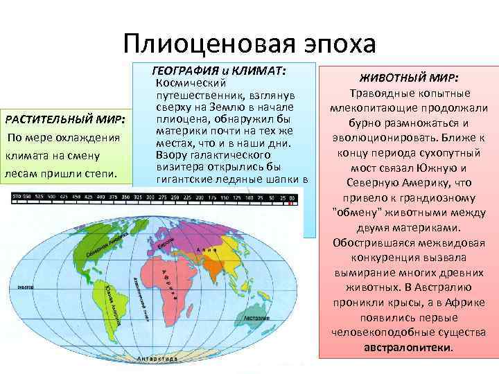 Плиоценовая эпоха РАСТИТЕЛЬНЫЙ МИР: По мере охлаждения климата на смену лесам пришли степи. ГЕОГРАФИЯ