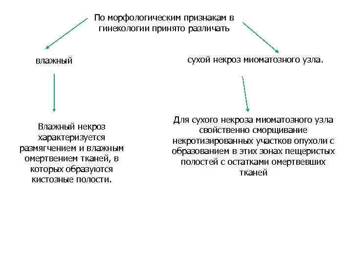 По морфологическим признакам в гинекологии принято различать влажный Влажный некроз характеризуется размягчением и влажным