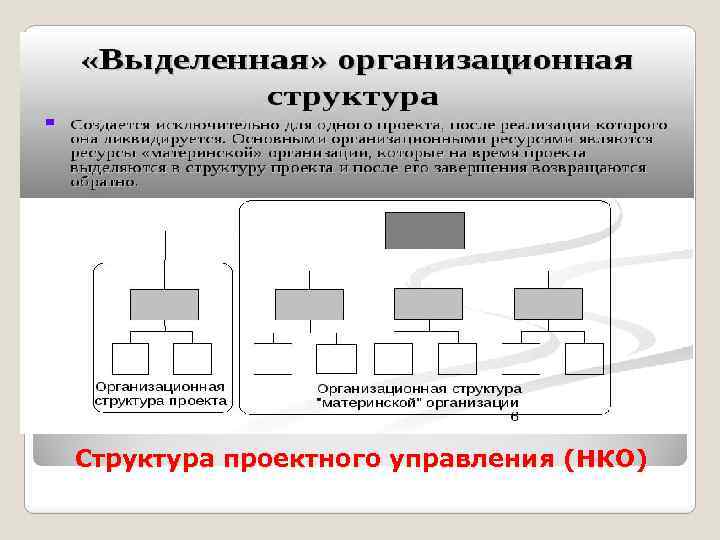 Структура проектного управления (НКО) 