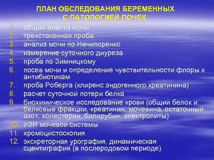 1. 2. 3. 4. 5. 6. 7. 8. 9. 10. 11. 12. ПЛАН ОБСЛЕДОВАНИЯ