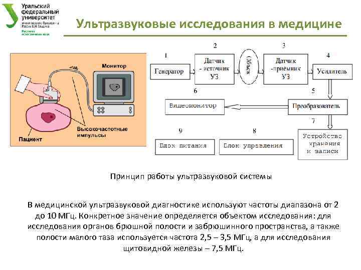 Ультразвуковые исследования в медицине Принцип работы ультразвуковой системы В медицинской ультразвуковой диагностике используют частоты