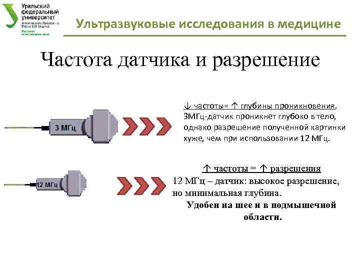 Ультразвуковые исследования в медицине Частота датчика и разрешение ↓ частоты= ↑ глубины проникновения. 3