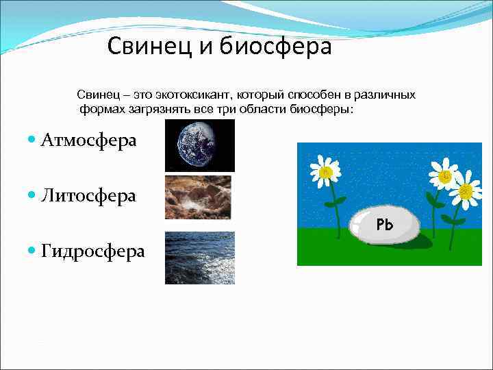 Свинец и биосфера Свинец – это экотоксикант, который способен в различных формах загрязнять все