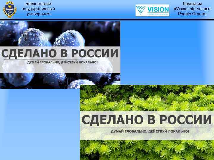 Воронежский государственный университет Компания «Vision International People Group» 