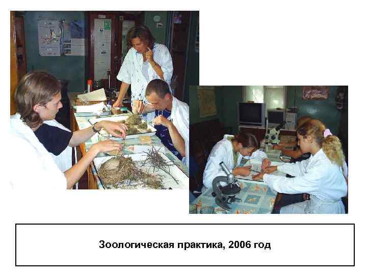 Зоологическая практика, 2006 год 