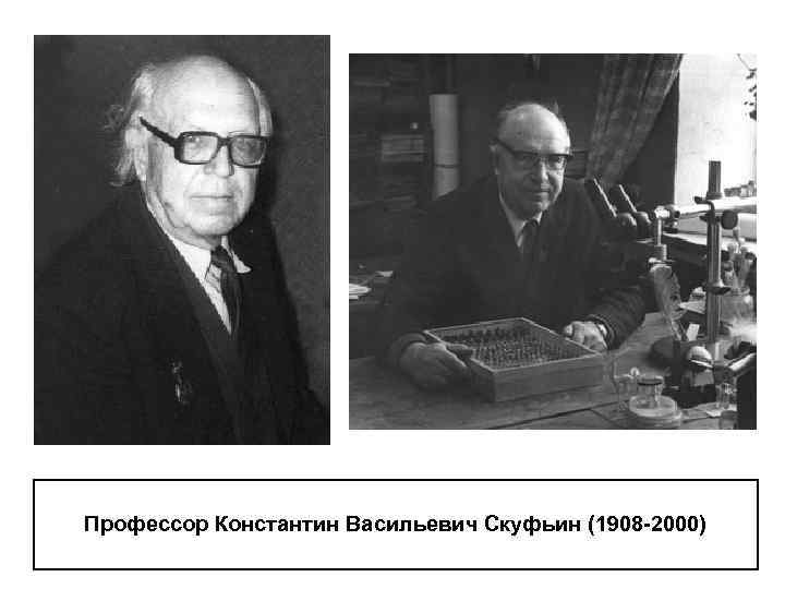 Профессор Константин Васильевич Скуфьин (1908 -2000) 