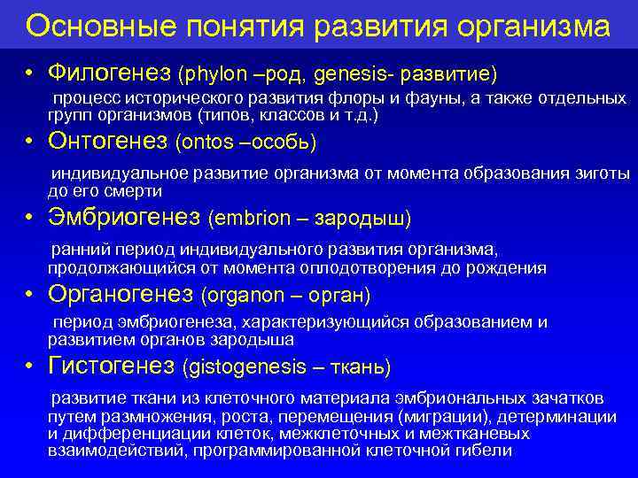 Основные понятия развития организма • Филогенез (phylon –род, genesis- развитие) процесс исторического развития флоры