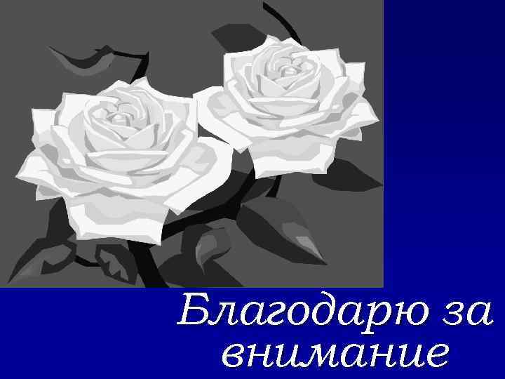 Благодарю за внимание 