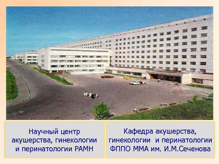 Научный центр акушерства, гинекологии и перинатологии РАМН Кафедра акушерства, гинекологии и перинатологии ФППО ММА