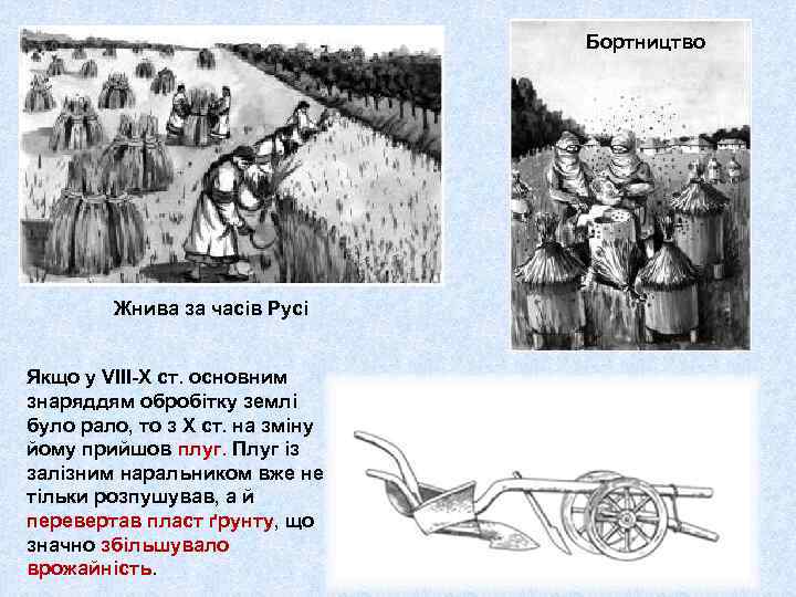 Бортництво Жнива за часів Русі Якщо у VІІІ-Х ст. основним знаряддям обробітку землі було