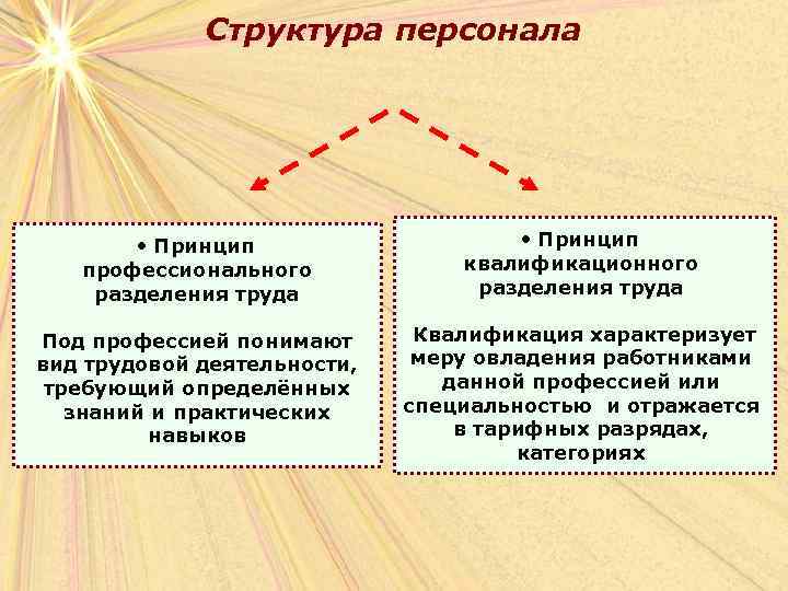 Структура персонала • Принцип профессионального разделения труда • Принцип квалификационного разделения труда Под профессией