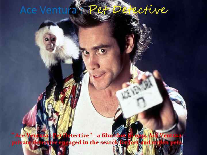 Ace Ventura : Pet Detective 