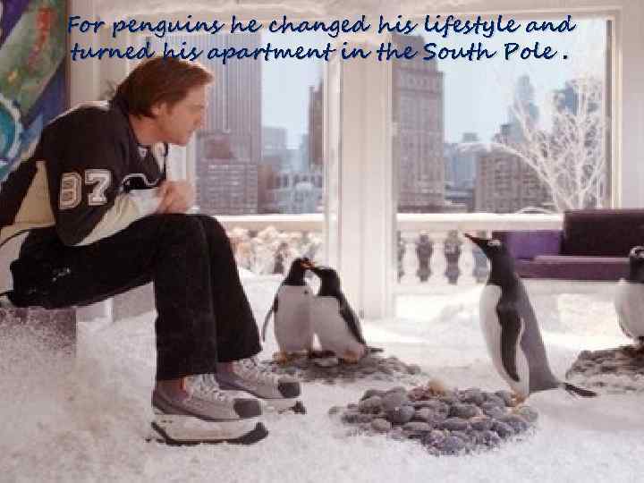 For penguins he changed his lifestyle and turned his apartment in the South Pole.