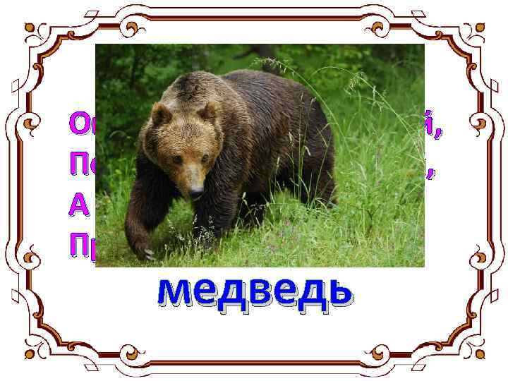 Отгадай загадку. Он в берлоге спит зимой, Под большущею сосной, А когда придёт весна,