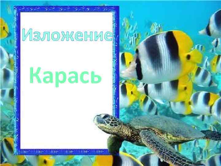 Изложение Карась 