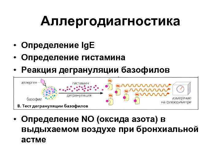 Аллергодиагностика • Определение Ig. E • Определение гистамина • Реакция дегрануляции базофилов • Определение