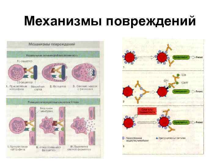 Механизмы повреждений 