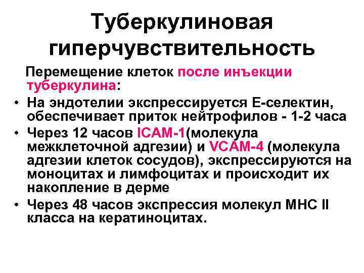 Туберкулиновая гиперчувствительность Перемещение клеток после инъекции туберкулина: • На эндотелии экспрессируется Е-селектин, обеспечивает приток