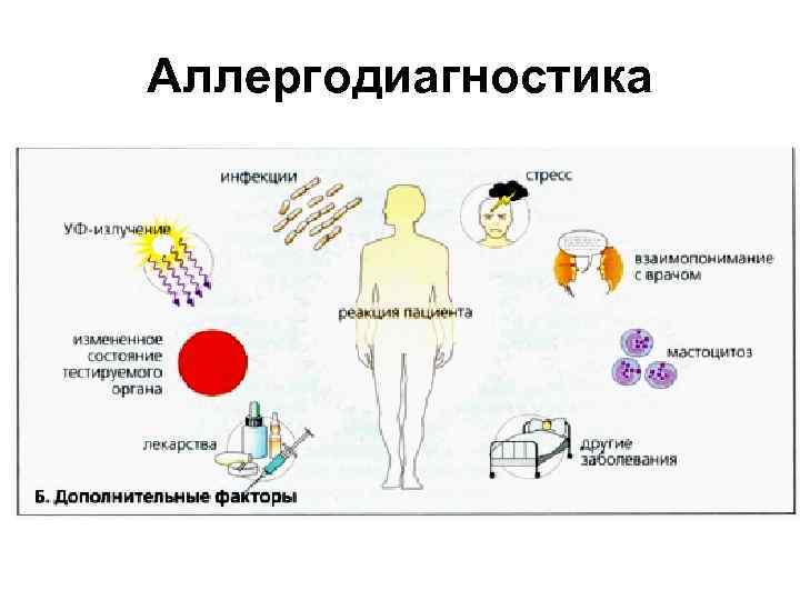 Аллергодиагностика 