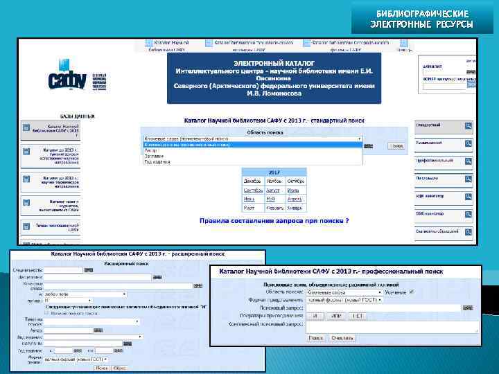 БИБЛИОГРАФИЧЕСКИЕ ЭЛЕКТРОННЫЕ РЕСУРСЫ 