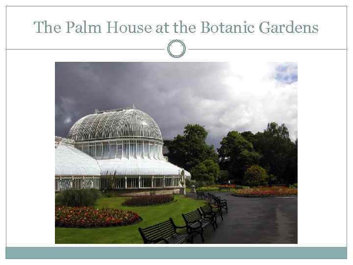 The Palm House at the Botanic Gardens 