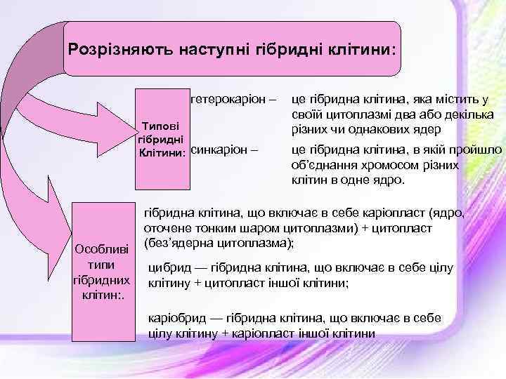 Розрізняють наступні гібридні клітини: гетерокаріон – Типові гібридні Клітини: синкаріон – Особливі типи гібридних