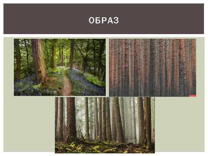 ОБРАЗ 