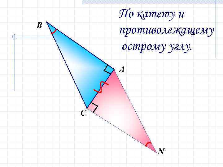 По катету и противолежащему острому углу. В А С N 