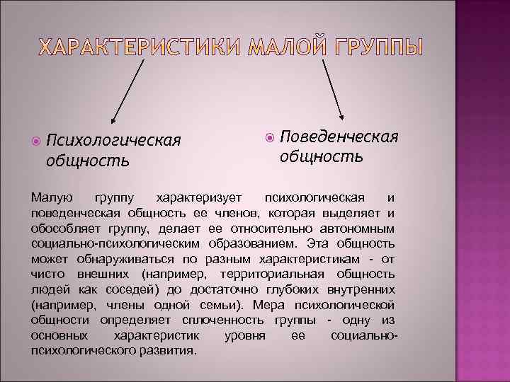  Психологическая общность Поведенческая общность Малую группу характеризует психологическая и поведенческая общность ее членов,