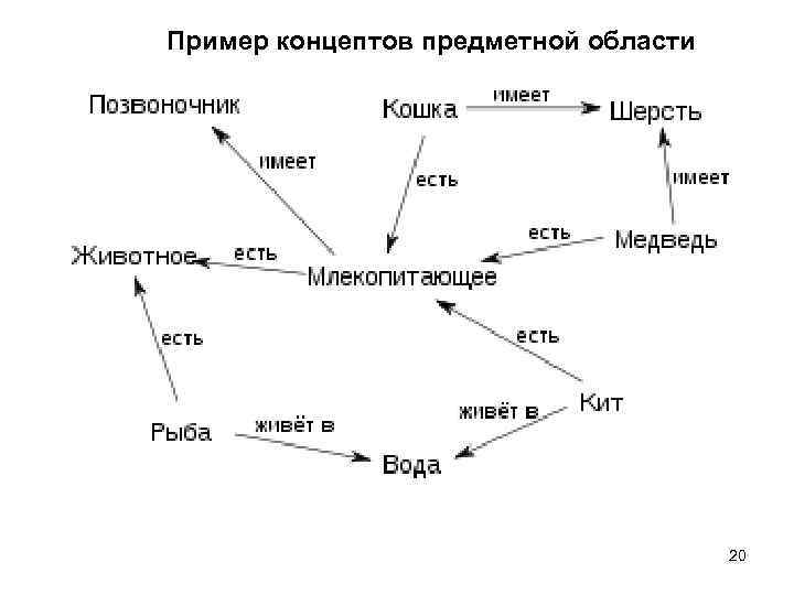 Пример концептов предметной области 20 