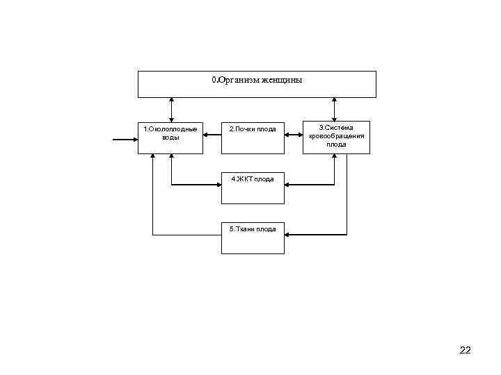 0. Организм женщины 1. Околоплодные воды 2. Почки плода 3. Система кровообращения плода 4.
