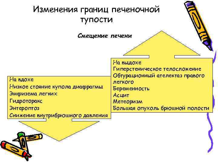 Изменения границ печеночной тупости Смещение печени На вдохе Низкое стояние купола диафрагмы Эмфизема легких