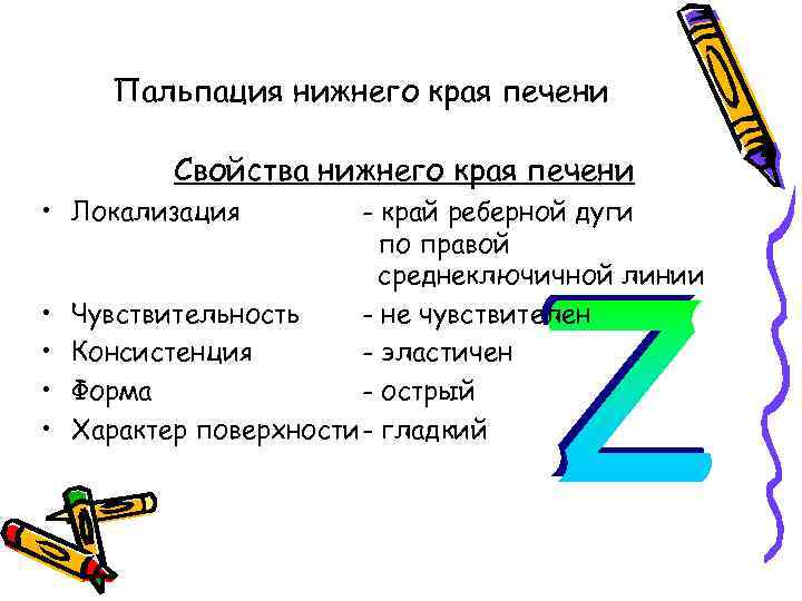 Пальпация нижнего края печени Свойства нижнего края печени • Локализация • • - край