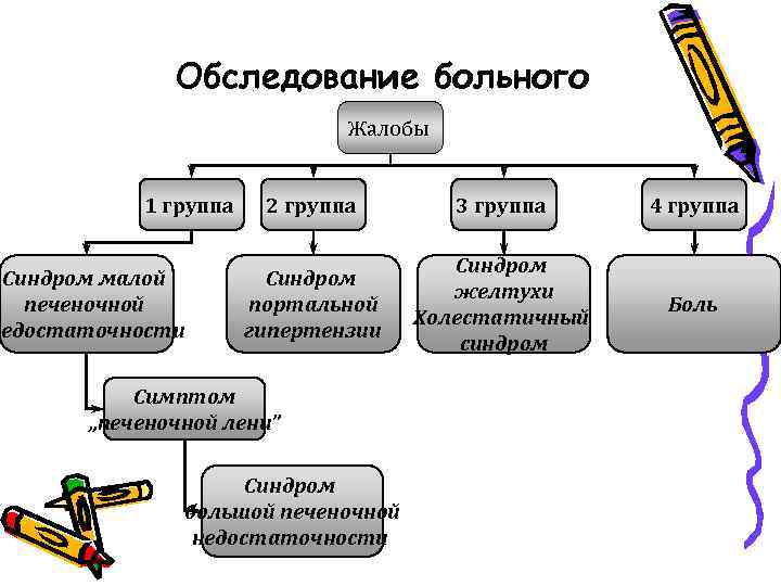 Синдром желтухи план обследования