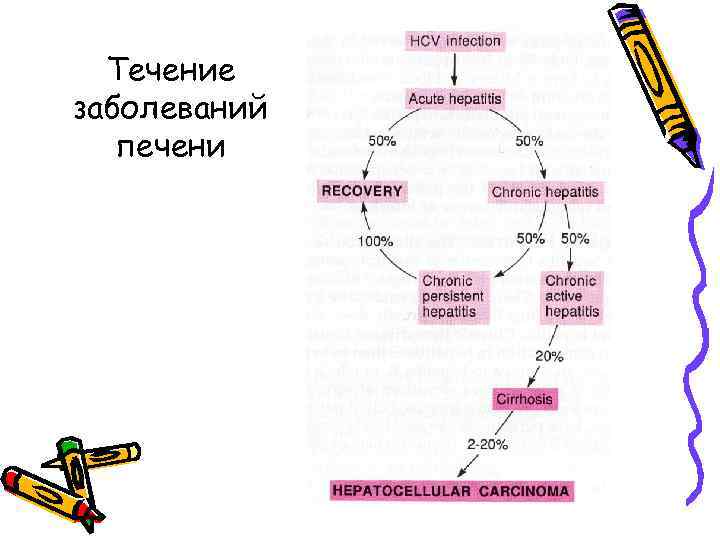 Течение заболеваний печени 