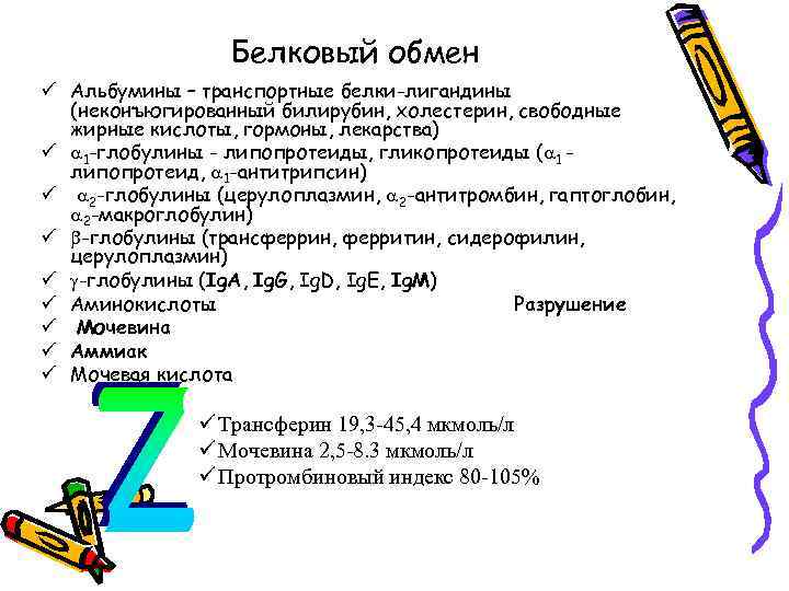 Белковый обмен ü Альбумины – транспортные белки-лигандины (неконъюгированный билирубин, холестерин, свободные жирные кислоты, гормоны,