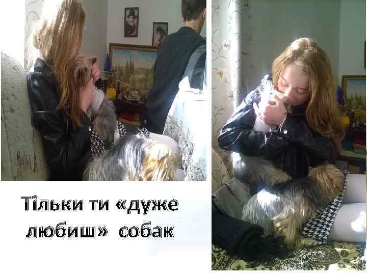 Тільки ти «дуже любиш» собак 