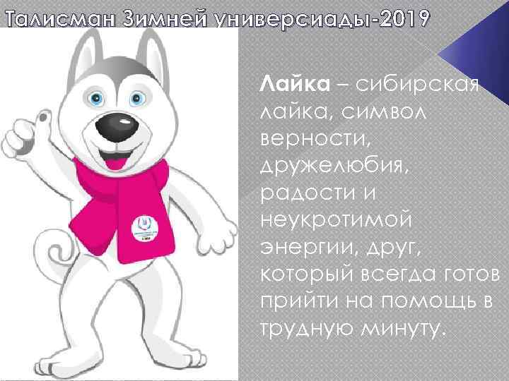 Талисман Зимней универсиады-2019 Лайка – сибирская лайка, символ верности, дружелюбия, радости и неукротимой энергии,