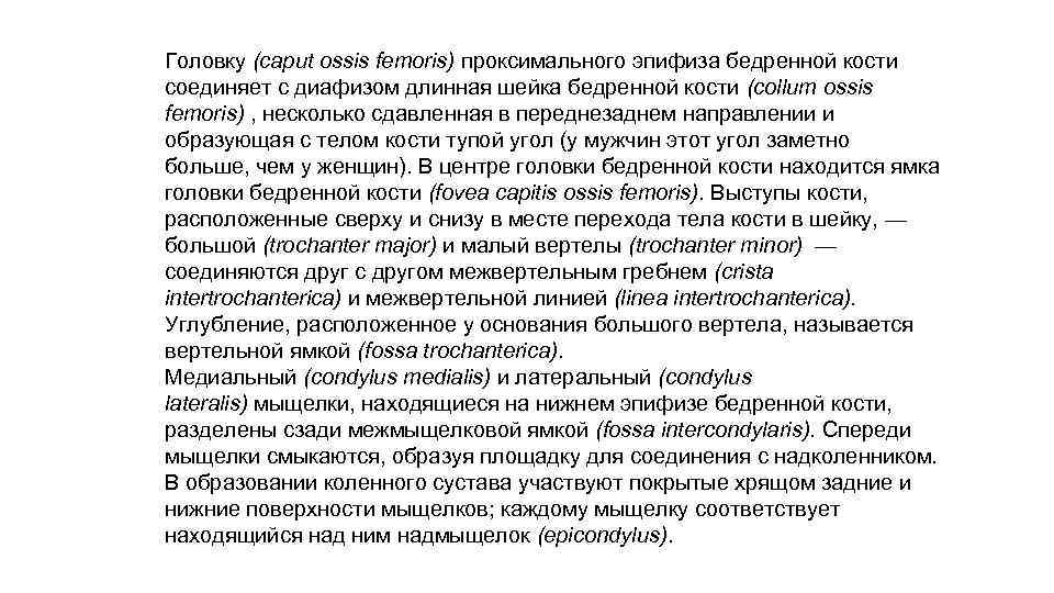 Головку (caput ossis femoris) проксимального эпифиза бедренной кости соединяет с диафизом длинная шейка бедренной