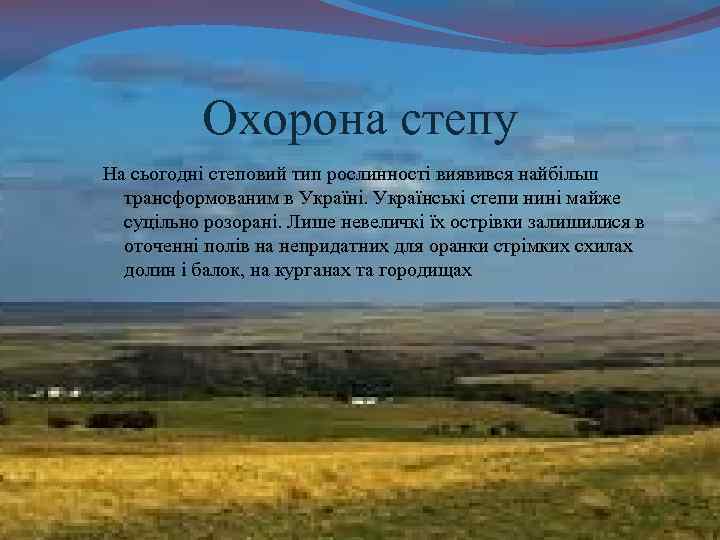 Охорона степу На сьогодні степовий тип рослинності виявився найбільш трансформованим в Україні. Українські степи